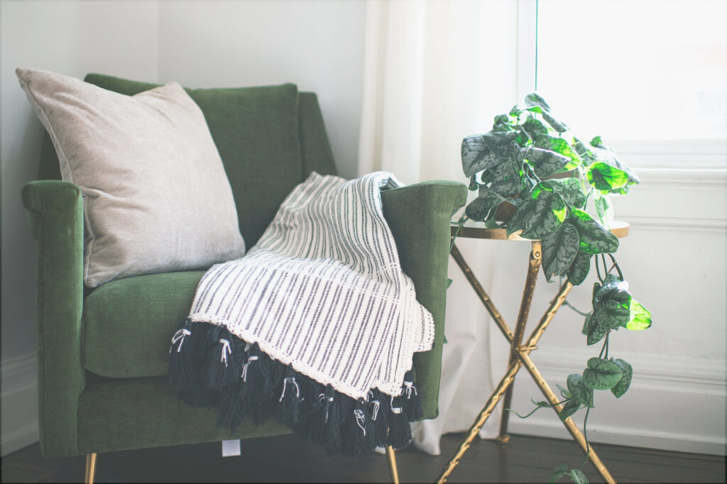 Image of clean chair and plant
